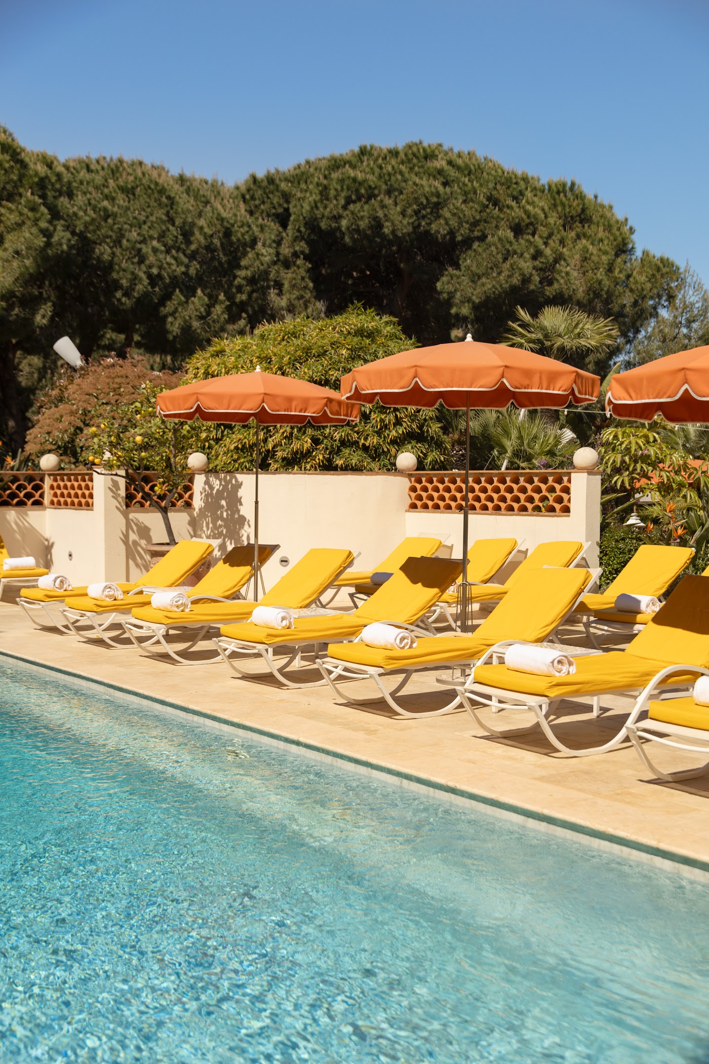 Hôtel Juana, dog-friendly hotel, photo 3
