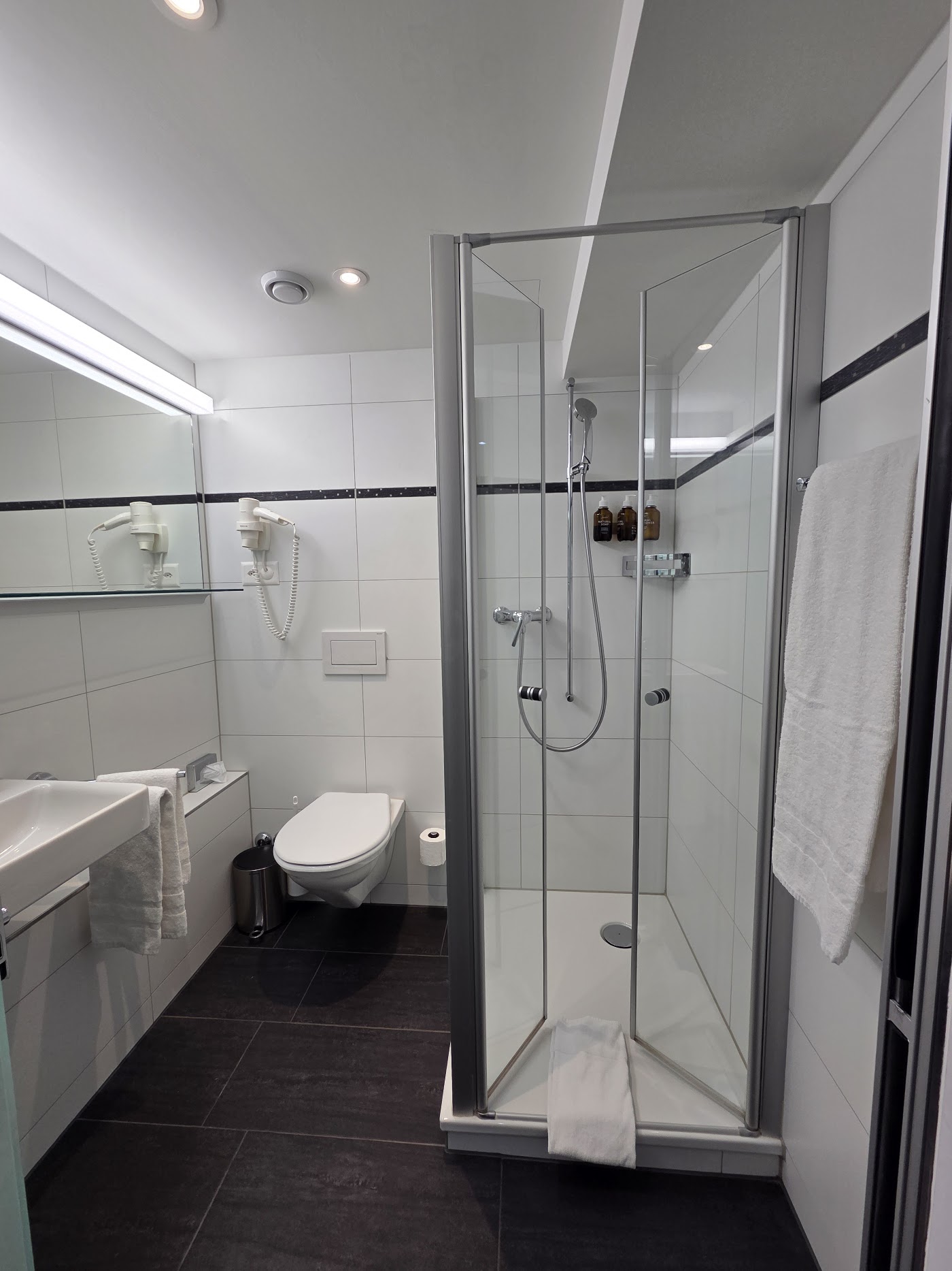 Hotel Luzernerhof, dog-friendly hotel, photo 3