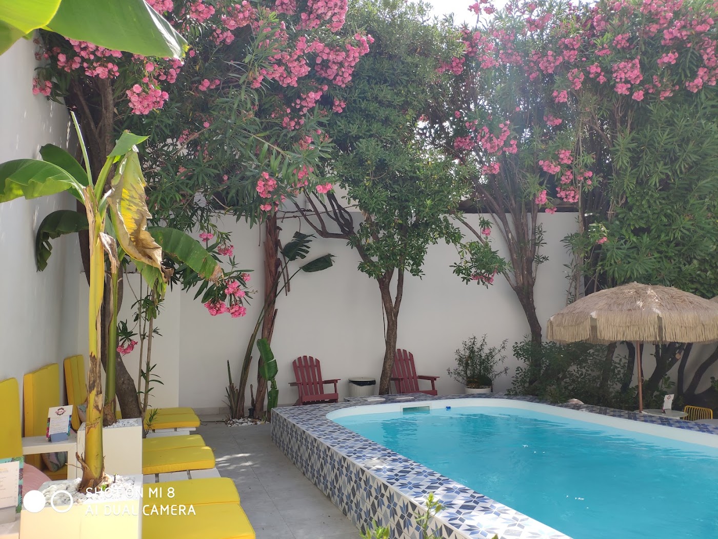 Hôtel Mademoiselle, dog-friendly hotel, photo 3