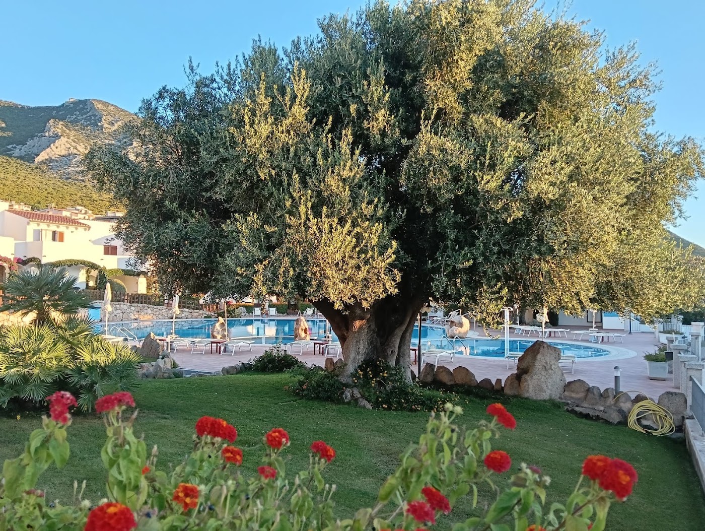 Hotel Nuraghe Arvu, dog-friendly hotel, photo 4
