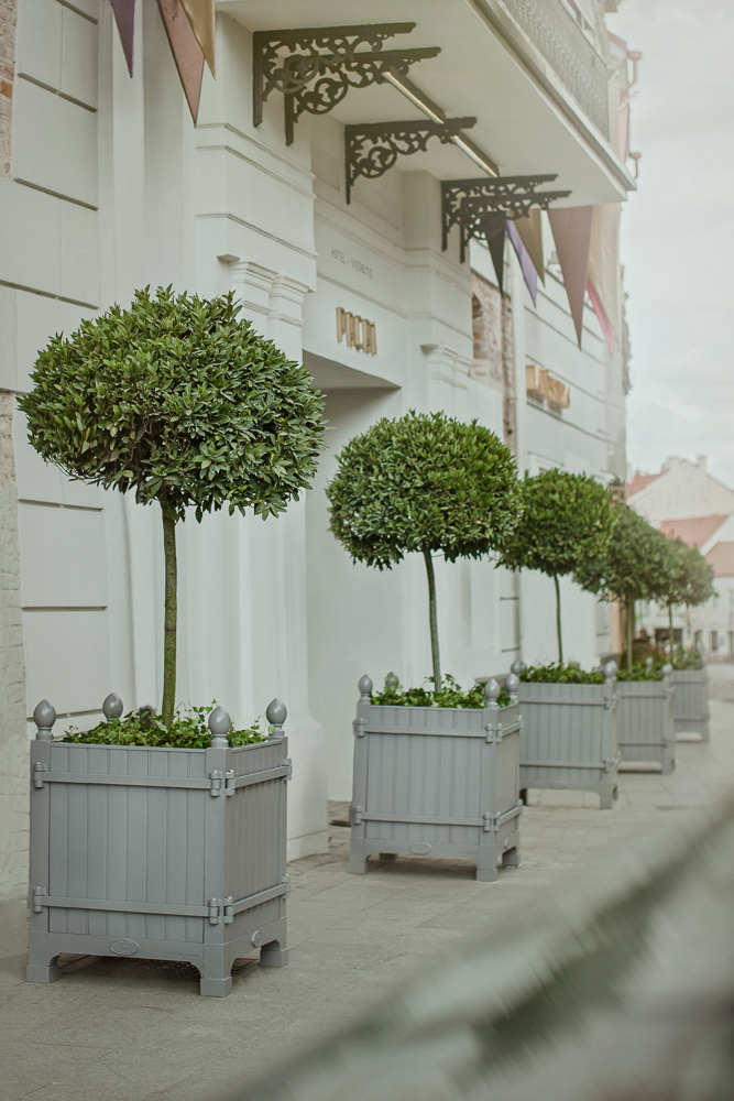 Hotel PACAI, a Member of Design Hotels, dog-friendly hotel, photo 5