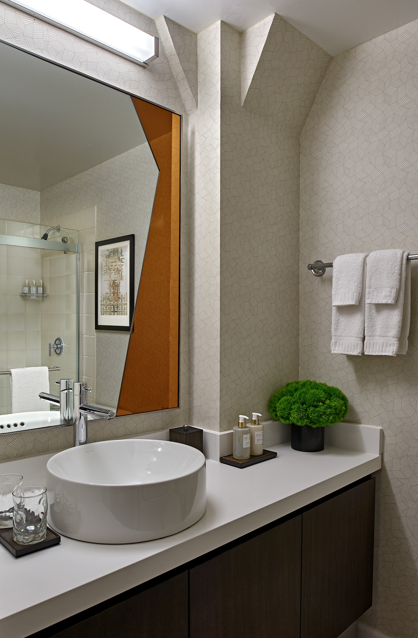 Hotel Zelos San Francisco, dog-friendly hotel, photo 3
