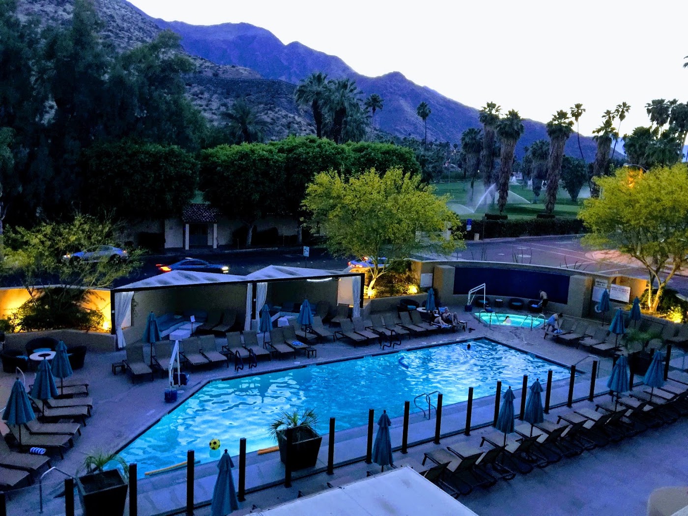 Hyatt Palm Springs, dog-friendly hotel, photo 3