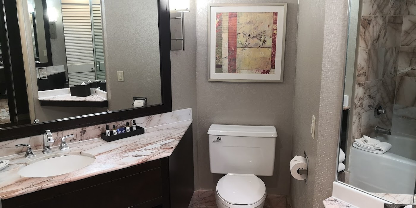 Hyatt Palm Springs, dog-friendly hotel, photo 4