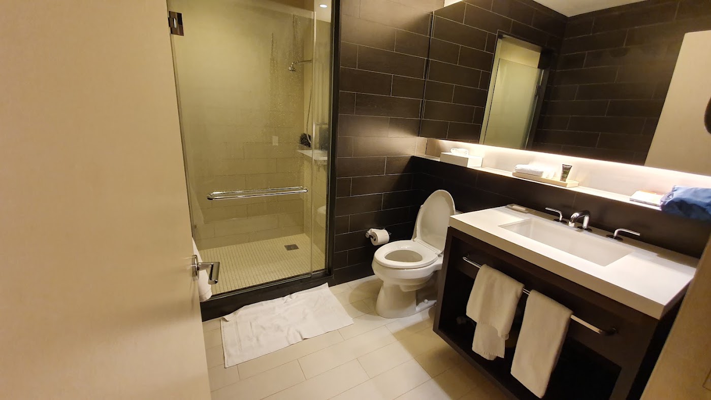Hyatt Regency Times Square, dog-friendly hotel, photo 3