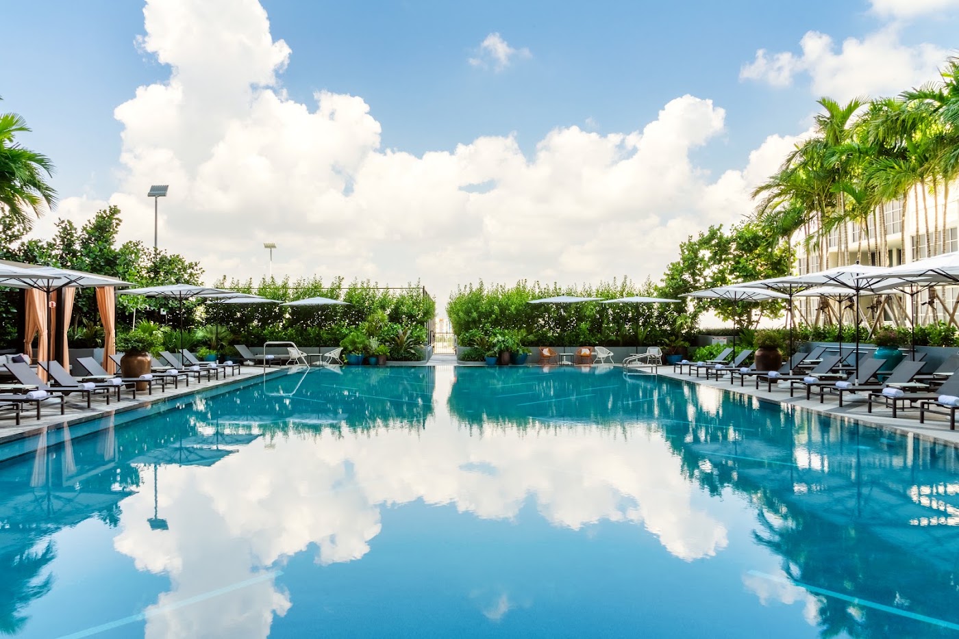 Hyde Suites Midtown Miami, dog-friendly hotel, photo 3