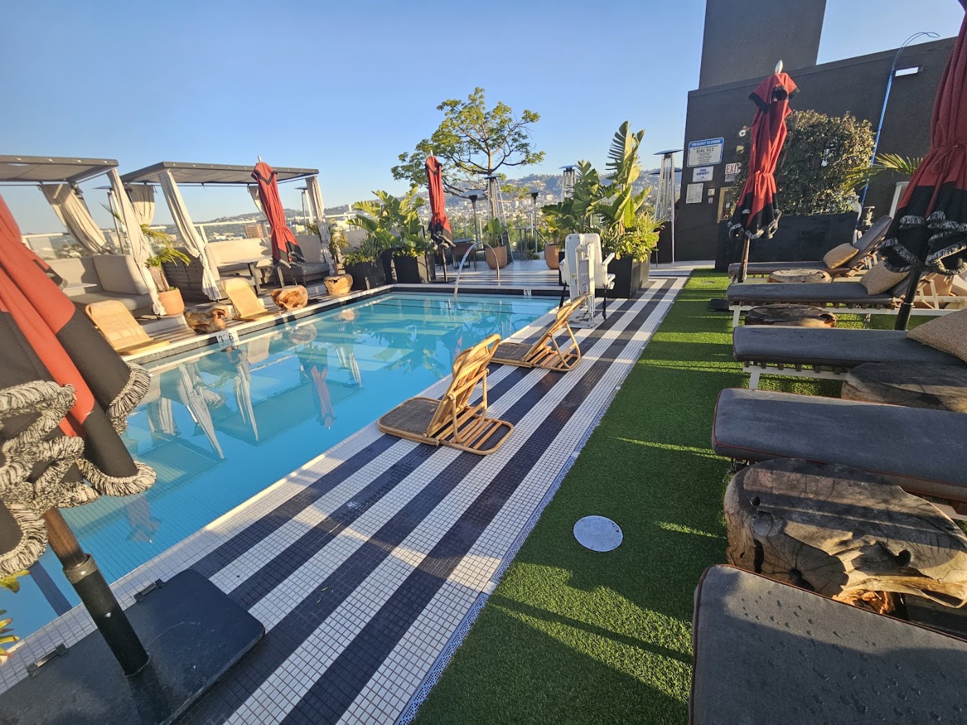 Kimpton Hotel Palomar Los Angeles Beverly Hills, dog-friendly hotel, photo 3