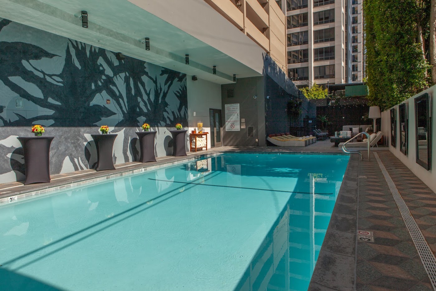Kimpton Hotel Palomar Los Angeles Beverly Hills, dog-friendly hotel, photo 5