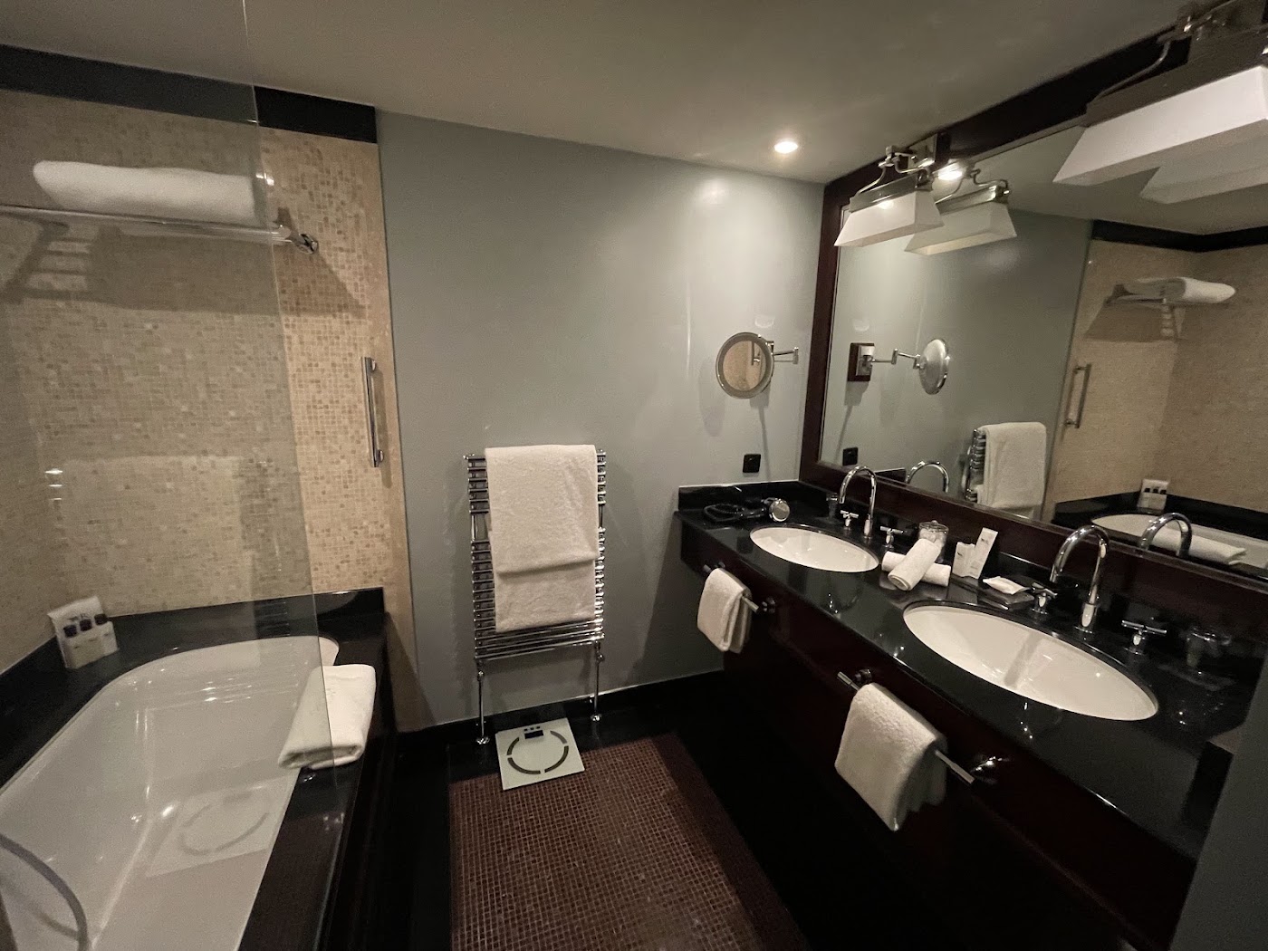 La Réserve Genève Hotel & Spa, dog-friendly hotel, photo 4