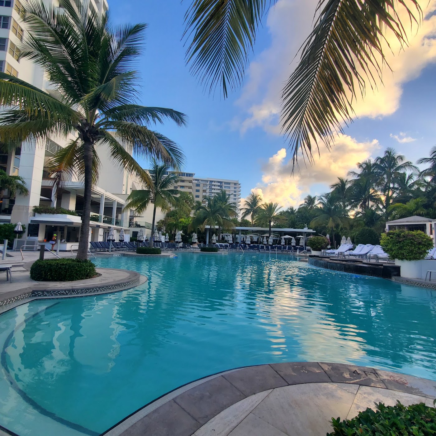 Loews Miami Beach Hotel, dog-friendly hotel, photo 3