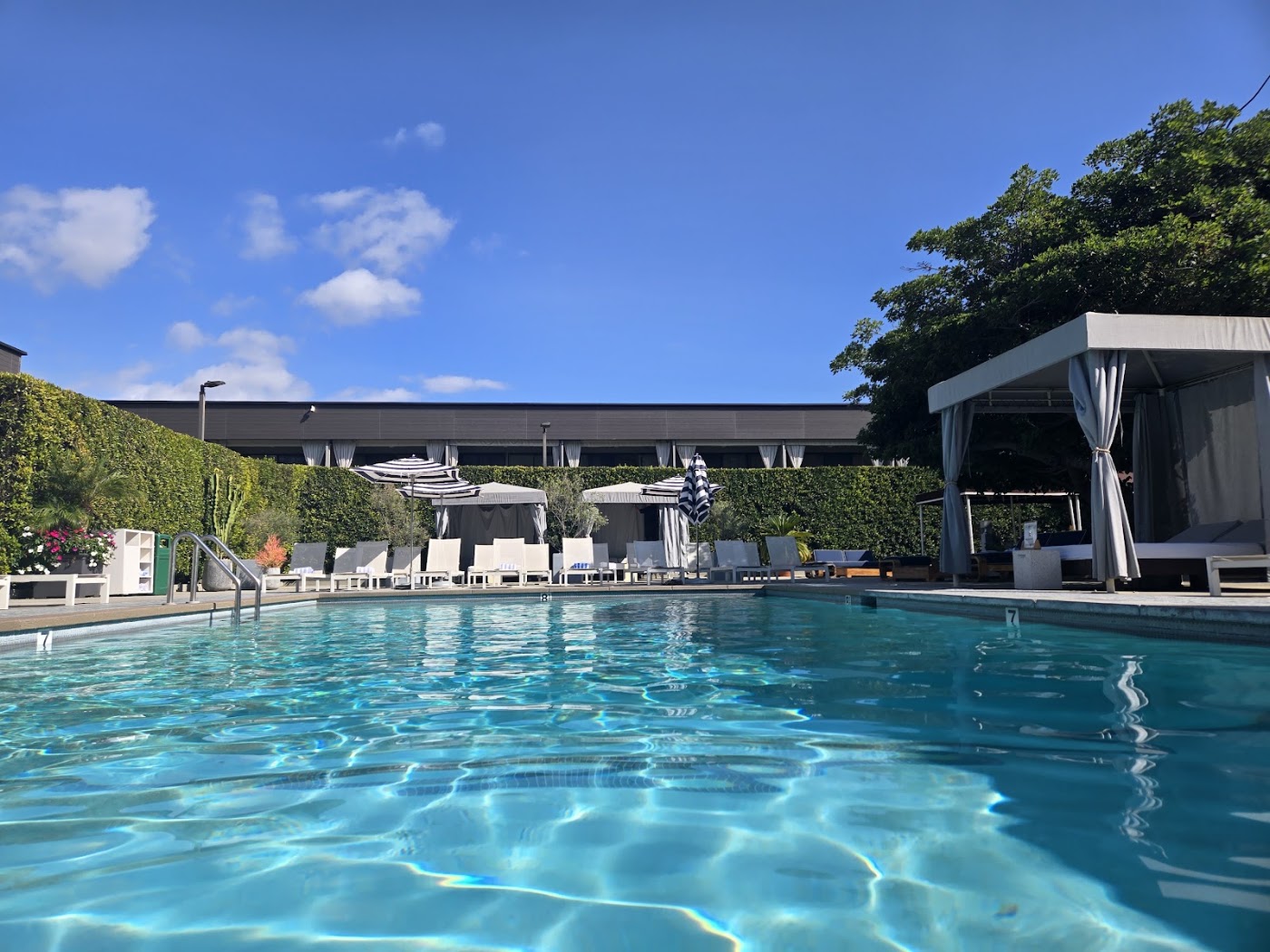 Luxe Sunset Boulevard Hotel, dog-friendly hotel, photo 3