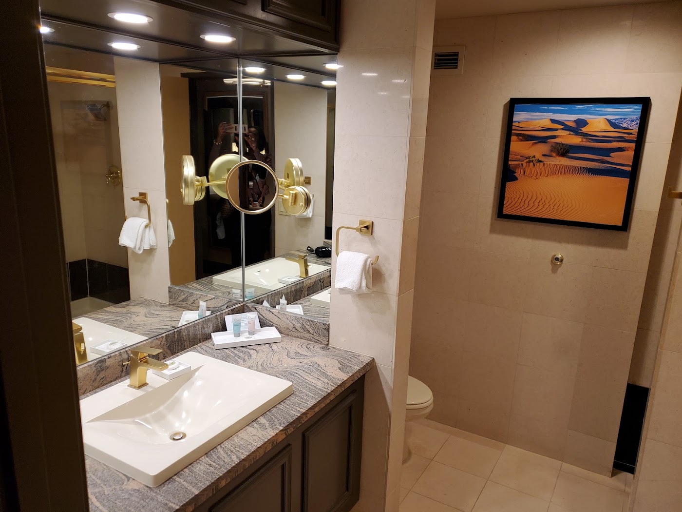 Luxor Hotel and Casino, dog-friendly hotel, photo 4