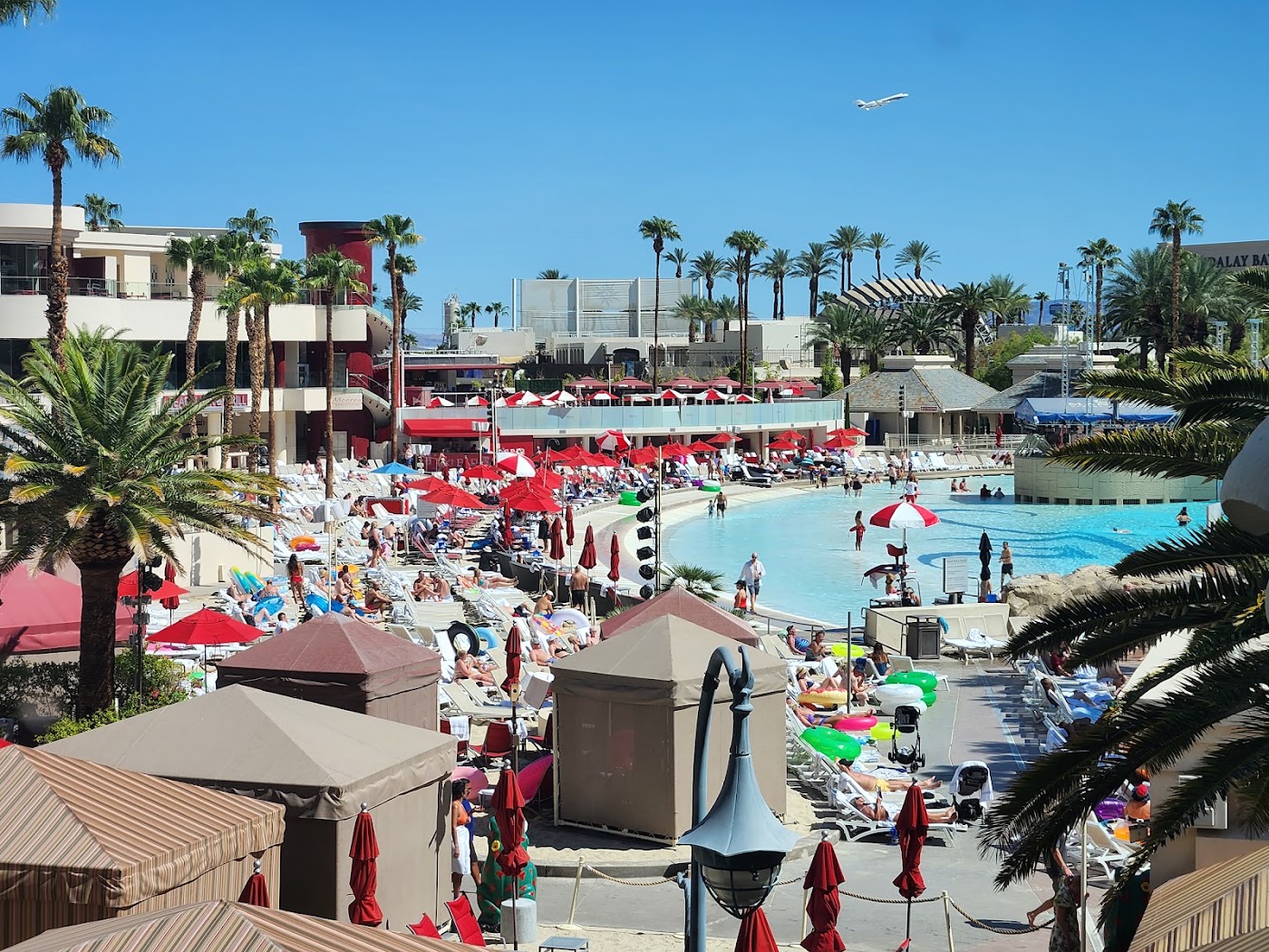 Mandalay Bay Resort and Casino, dog-friendly hotel, photo 5