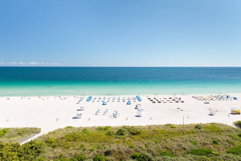 Marriott Stanton South Beach, dog-friendly hotel, photo 5