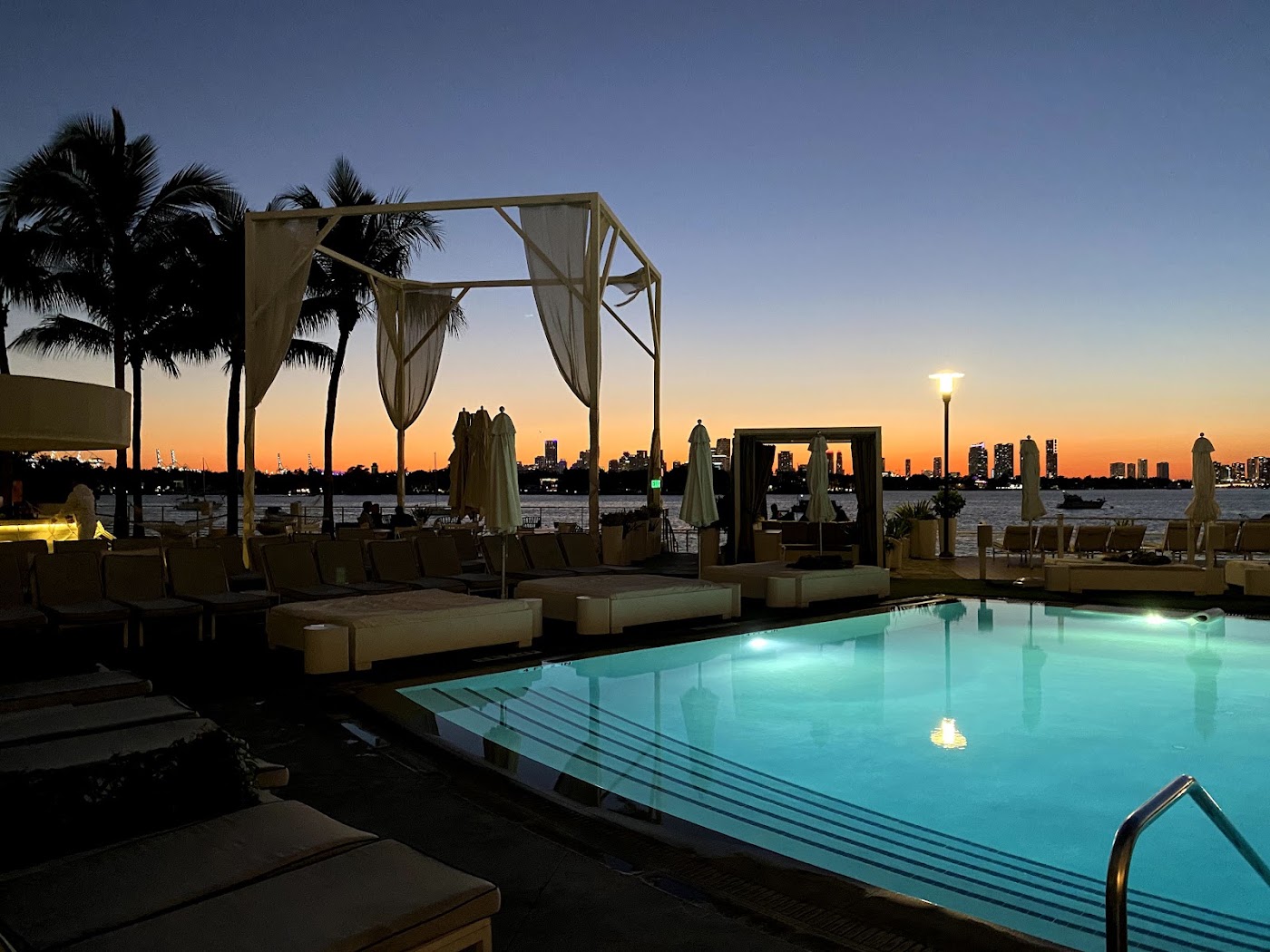 Mondrian South Beach, dog-friendly hotel, photo 3