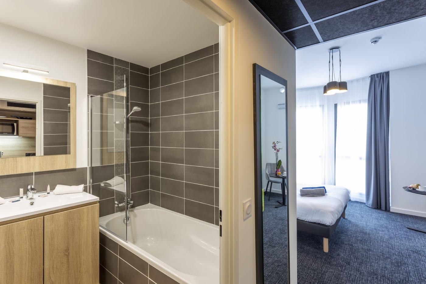 Nemea Appart'Hotel Riviera Nice Promenade, dog-friendly hotel, photo 4