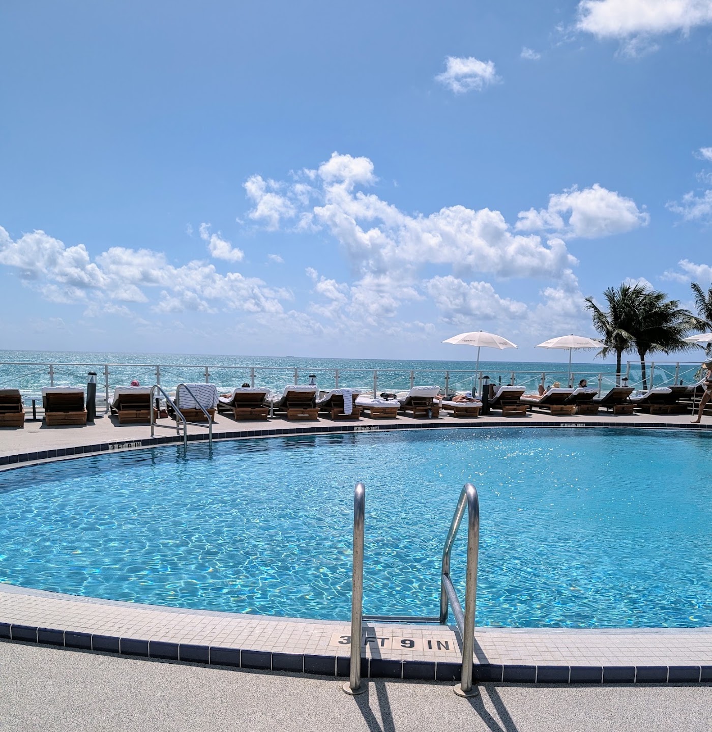 Nobu Hotel Miami Beach, dog-friendly hotel, photo 3