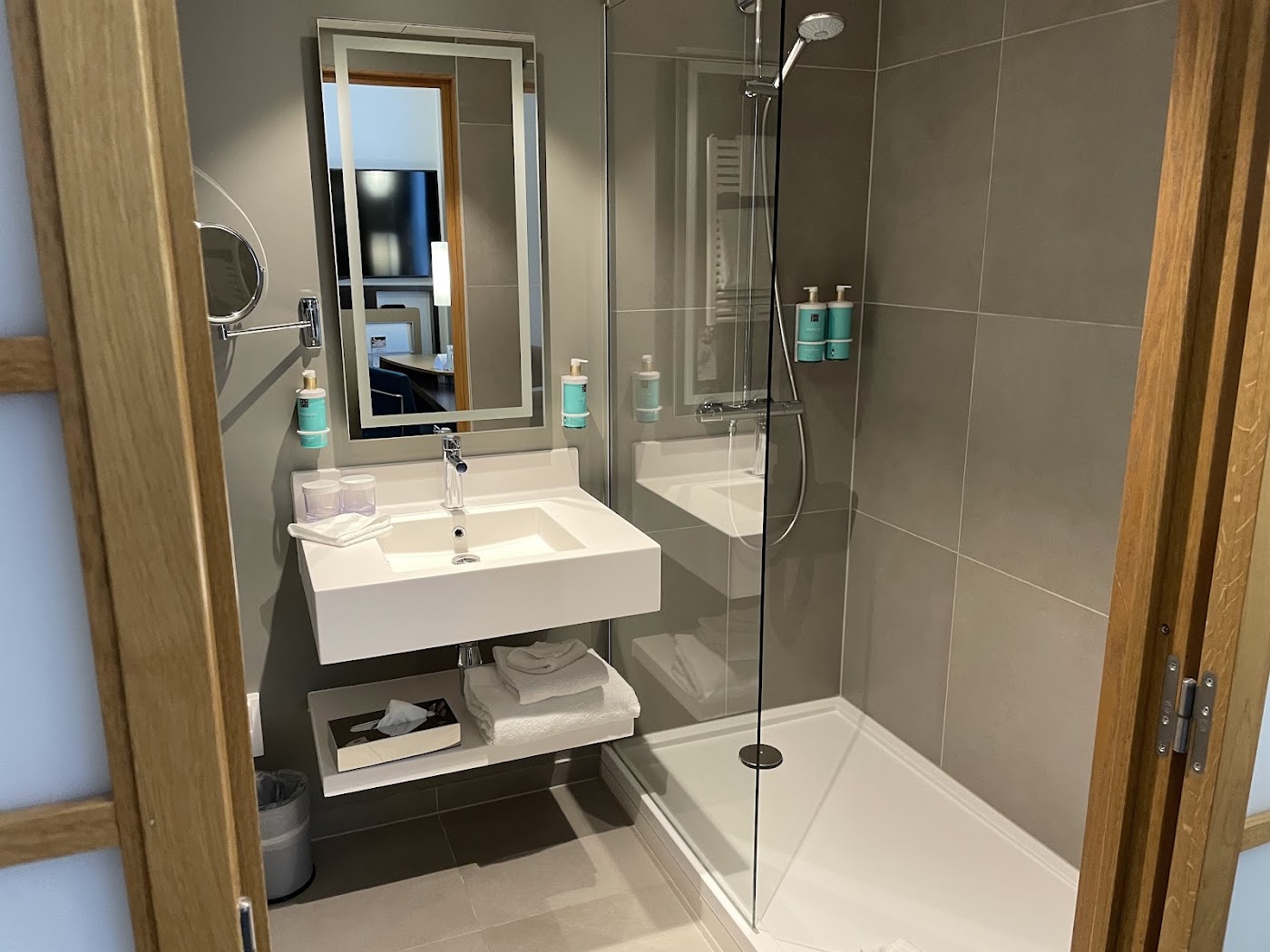 Novotel Genève Centre, dog-friendly hotel, photo 3
