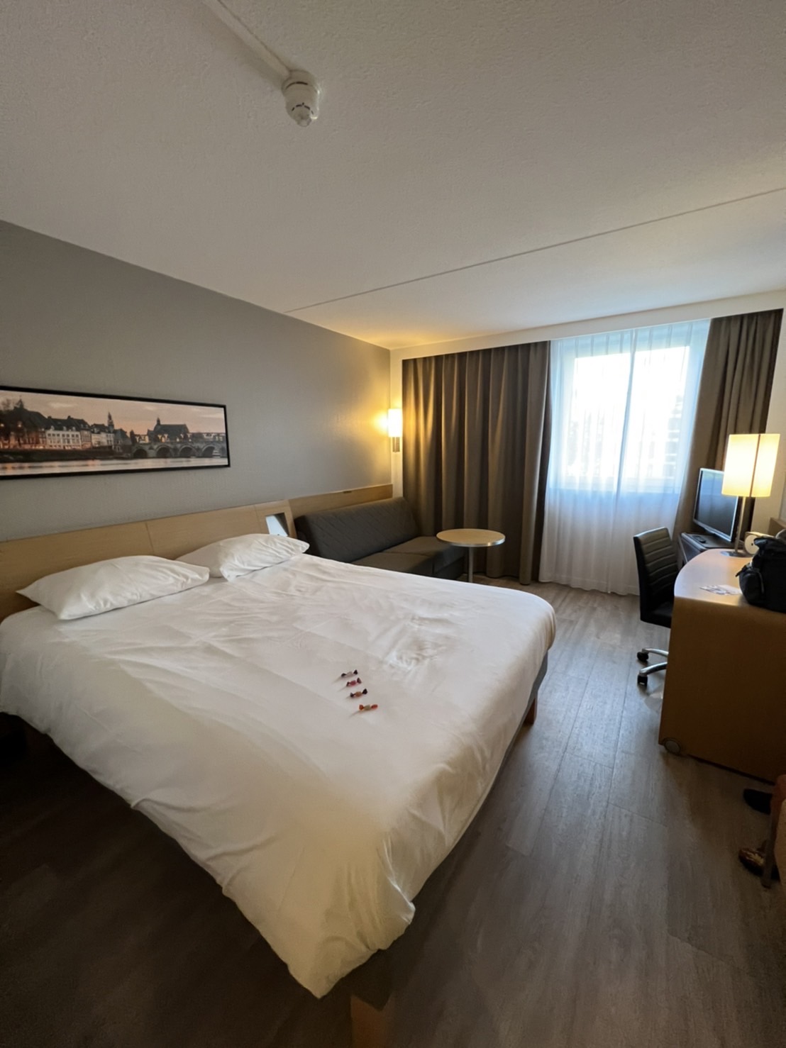 Novotel Maastricht, dog-friendly hotel, photo 2