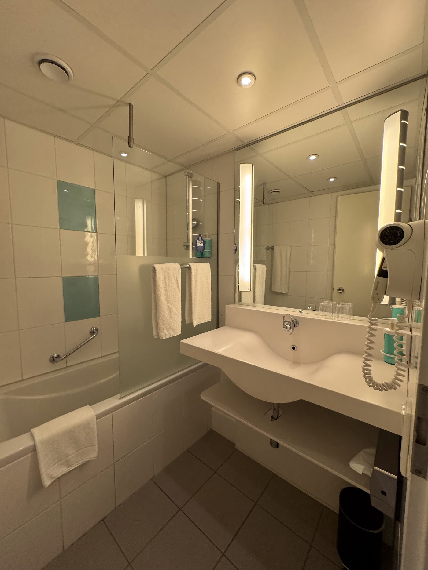 Novotel Maastricht, dog-friendly hotel, photo 4