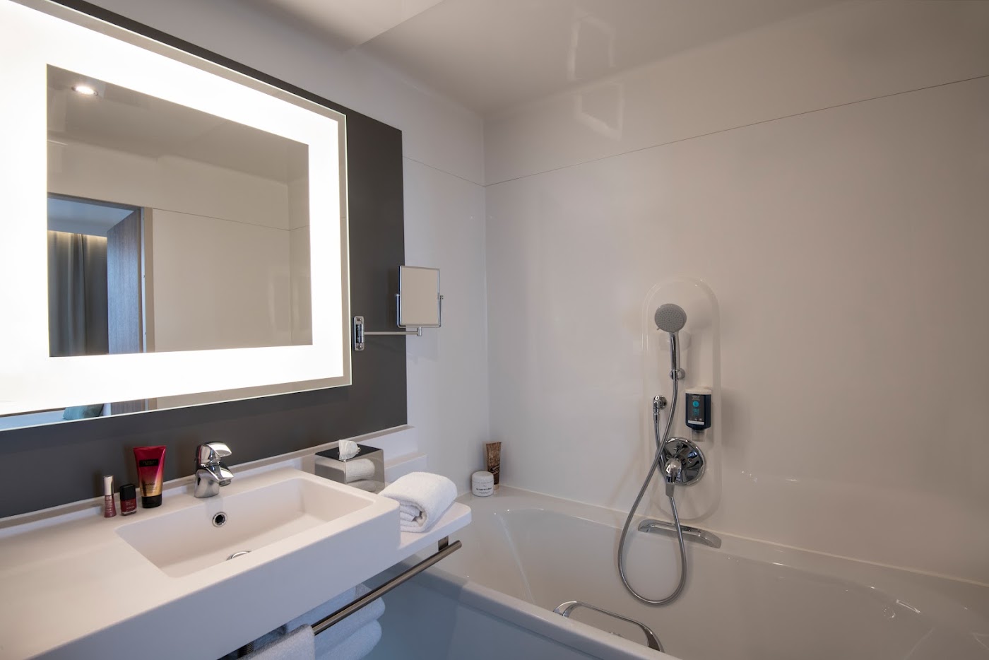 Novotel Suites Nice Airport, dog-friendly hotel, photo 4