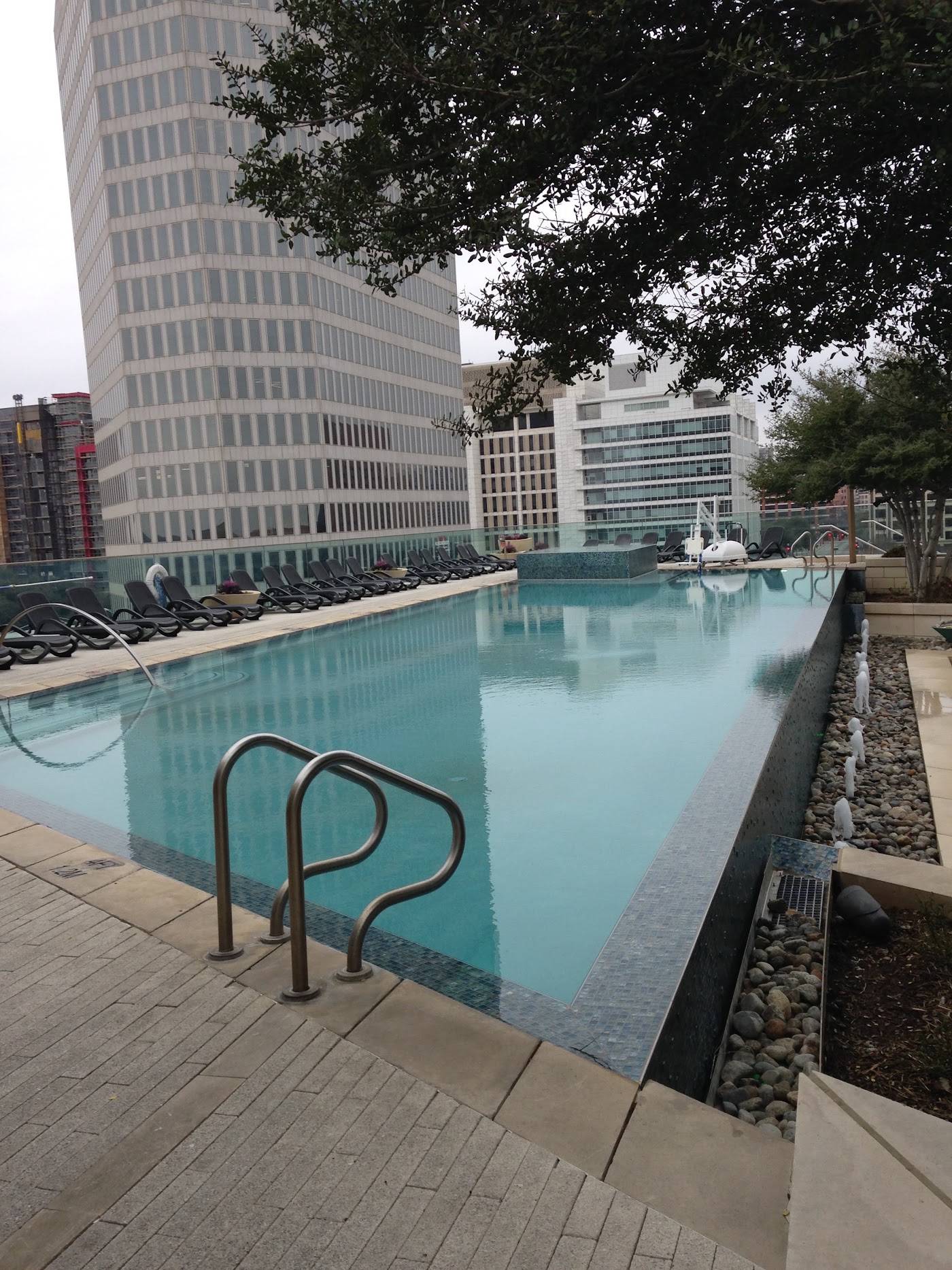 Omni Dallas Hotel, dog-friendly hotel, photo 3