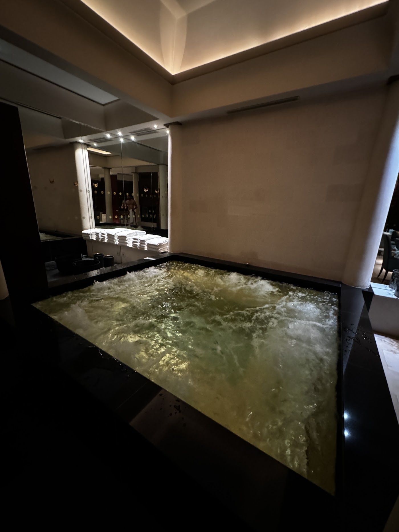 Park Hyatt Paris-Vendôme, dog-friendly hotel, photo 3