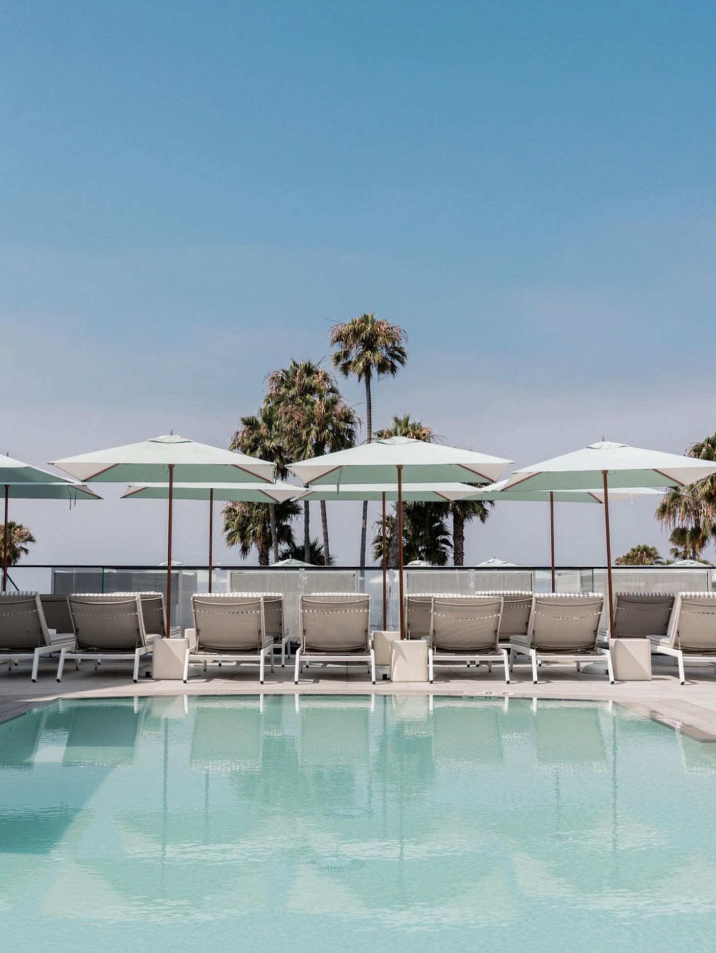 Regent Santa Monica Beach, dog-friendly hotel, photo 3