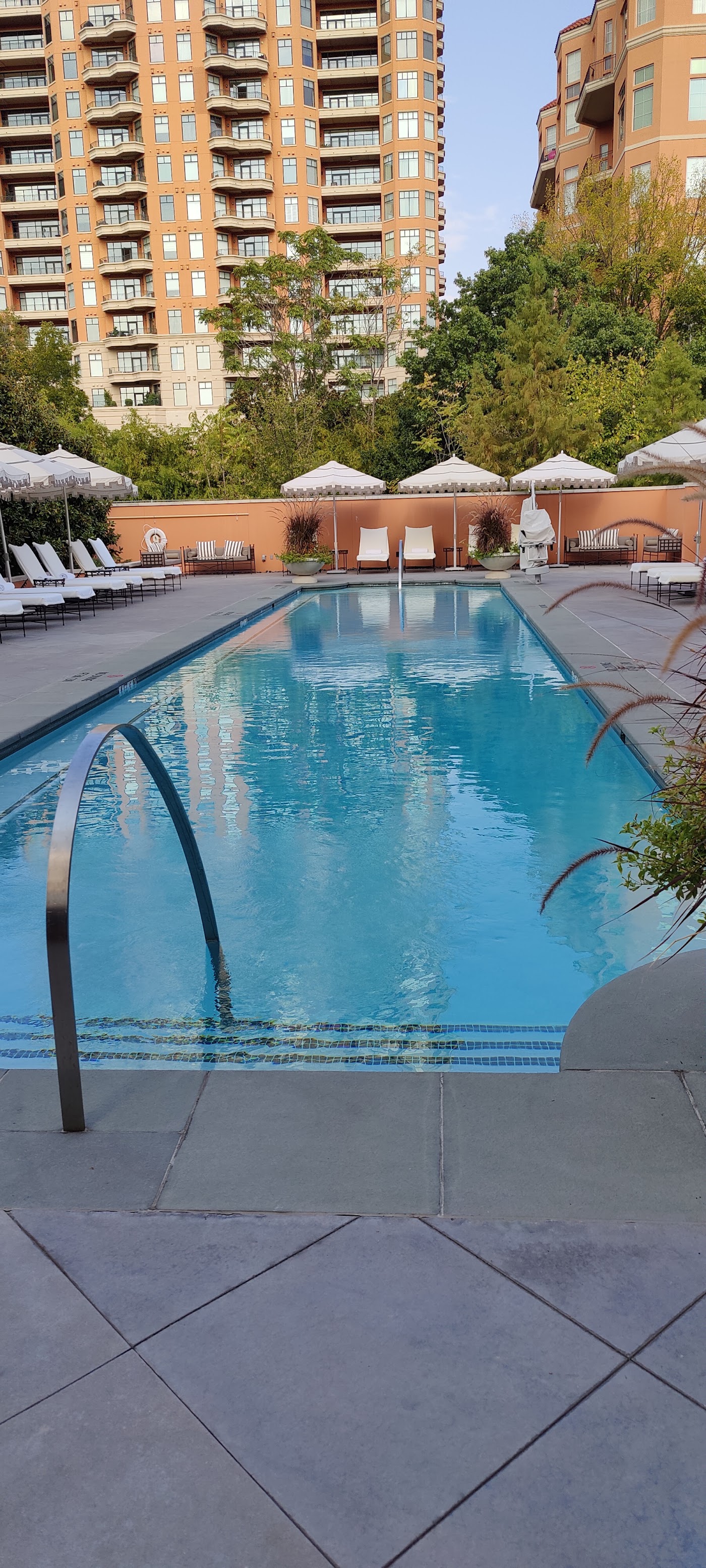 Rosewood Mansion on Turtle Creek, dog-friendly hotel, photo 3
