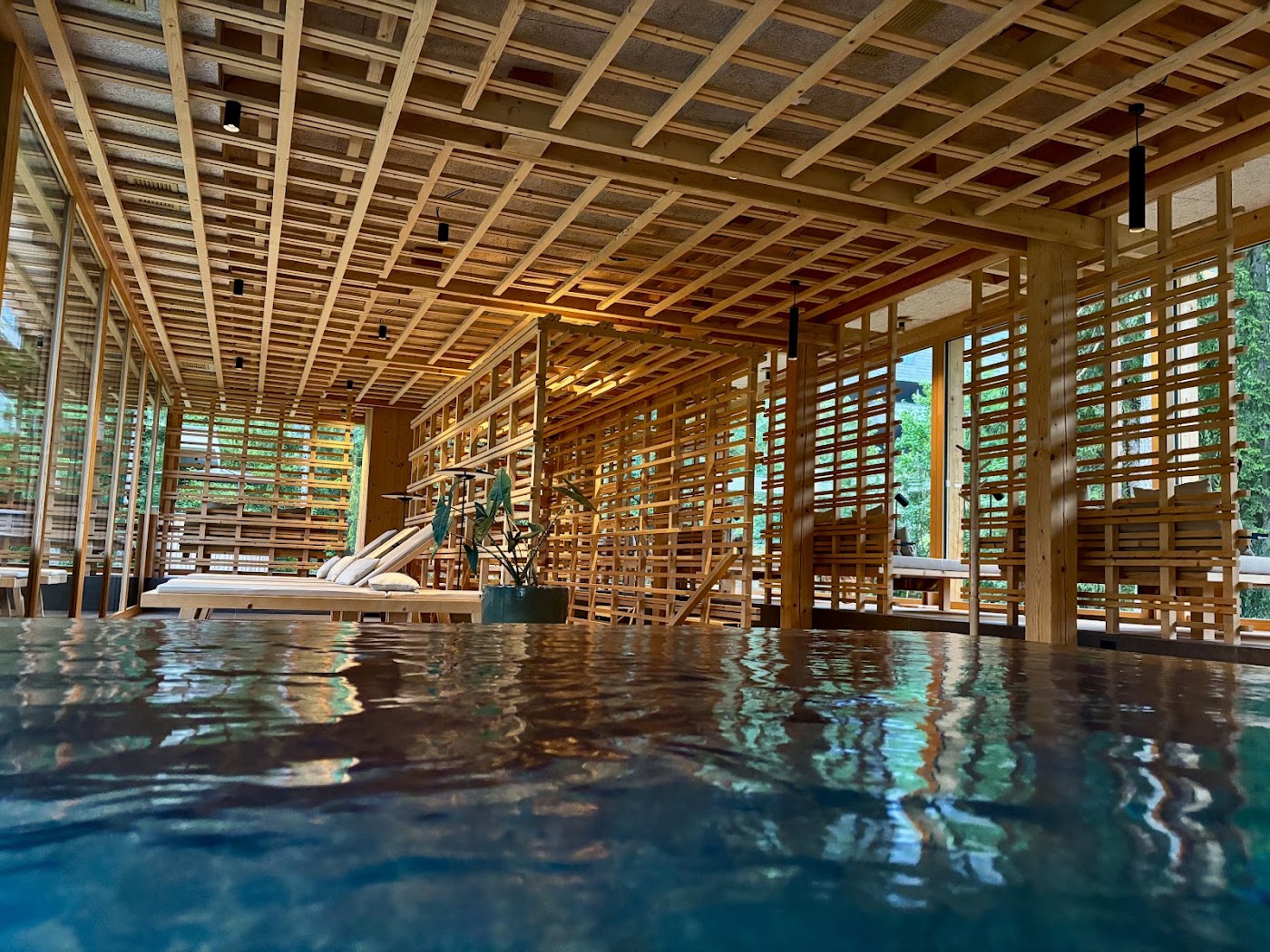 Sensoria Dolomites, dog-friendly hotel, photo 3