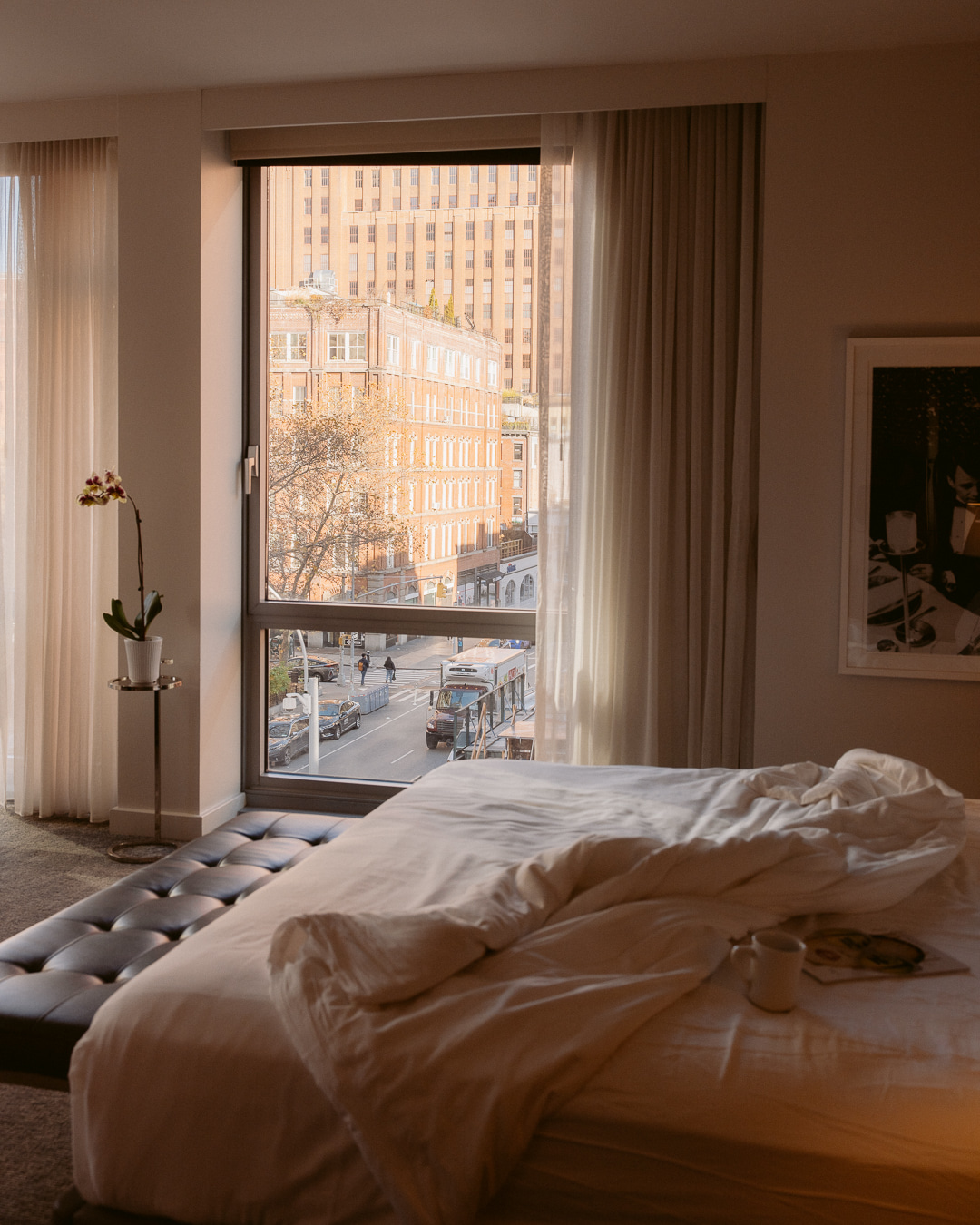 Smyth Tribeca, dog-friendly hotel, photo 2