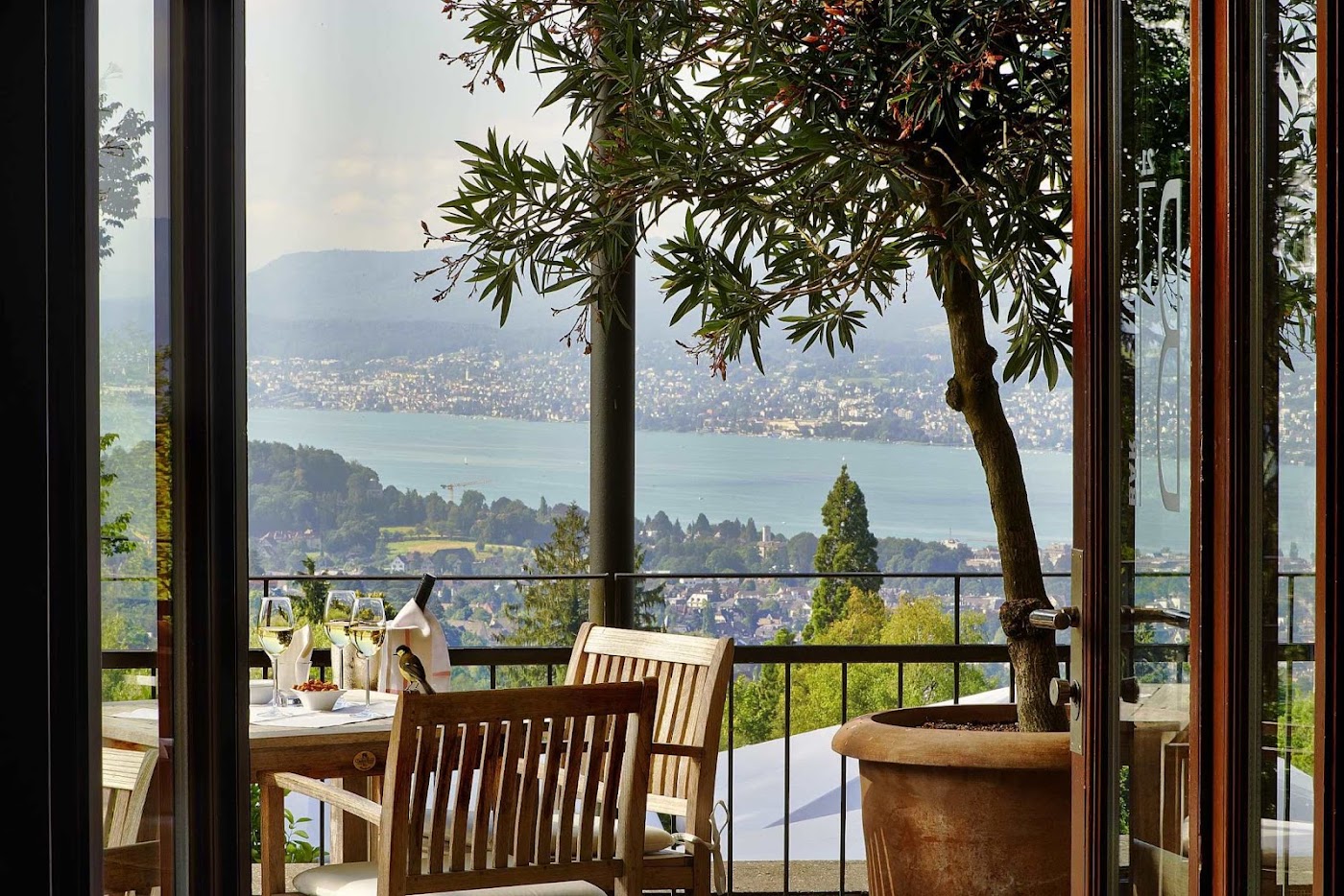 Sorell Boutique-Hotel Zürichberg, dog-friendly hotel, photo 5