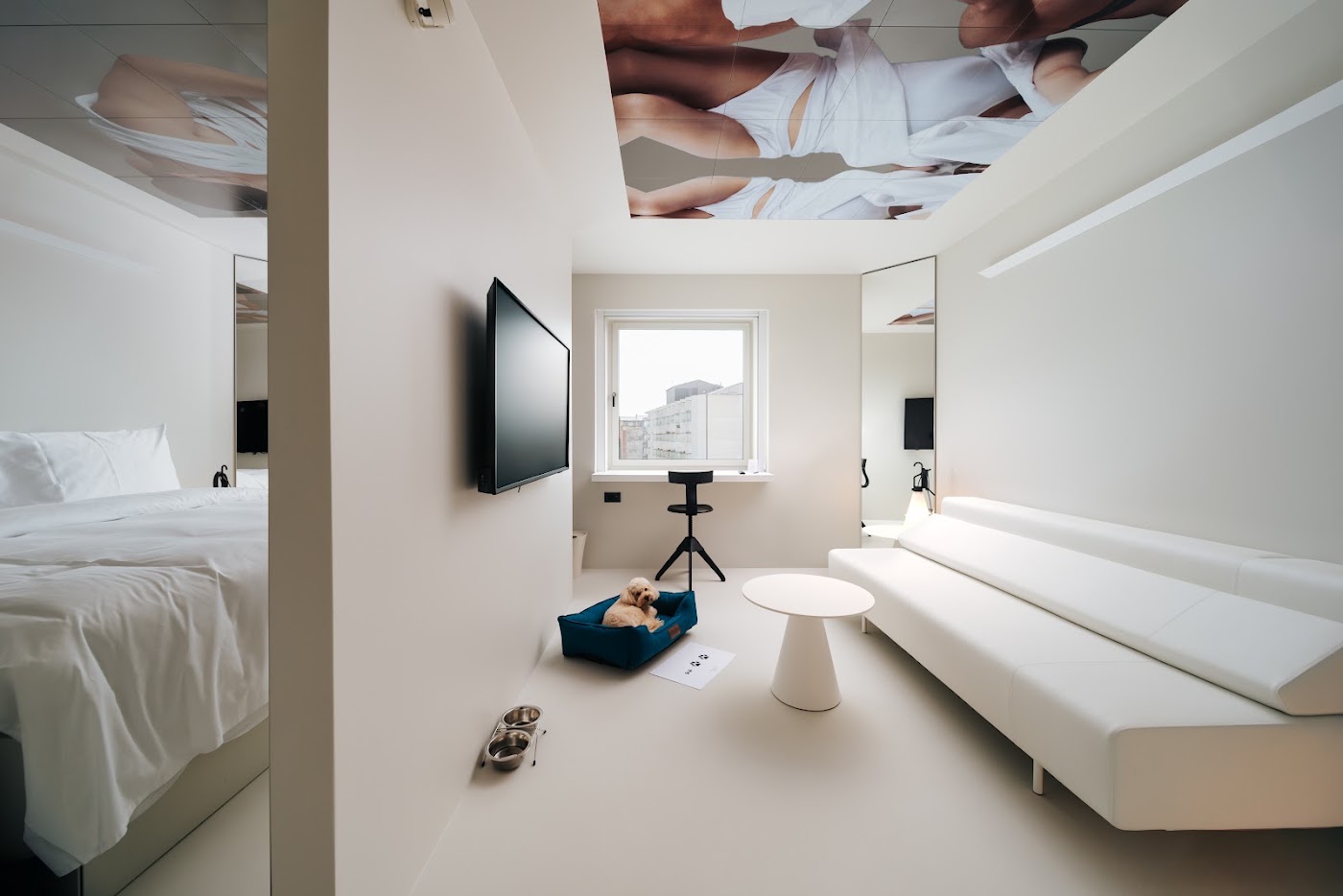Stellar Boutique Modules by Maistra City Vibes, dog-friendly hotel, photo 4