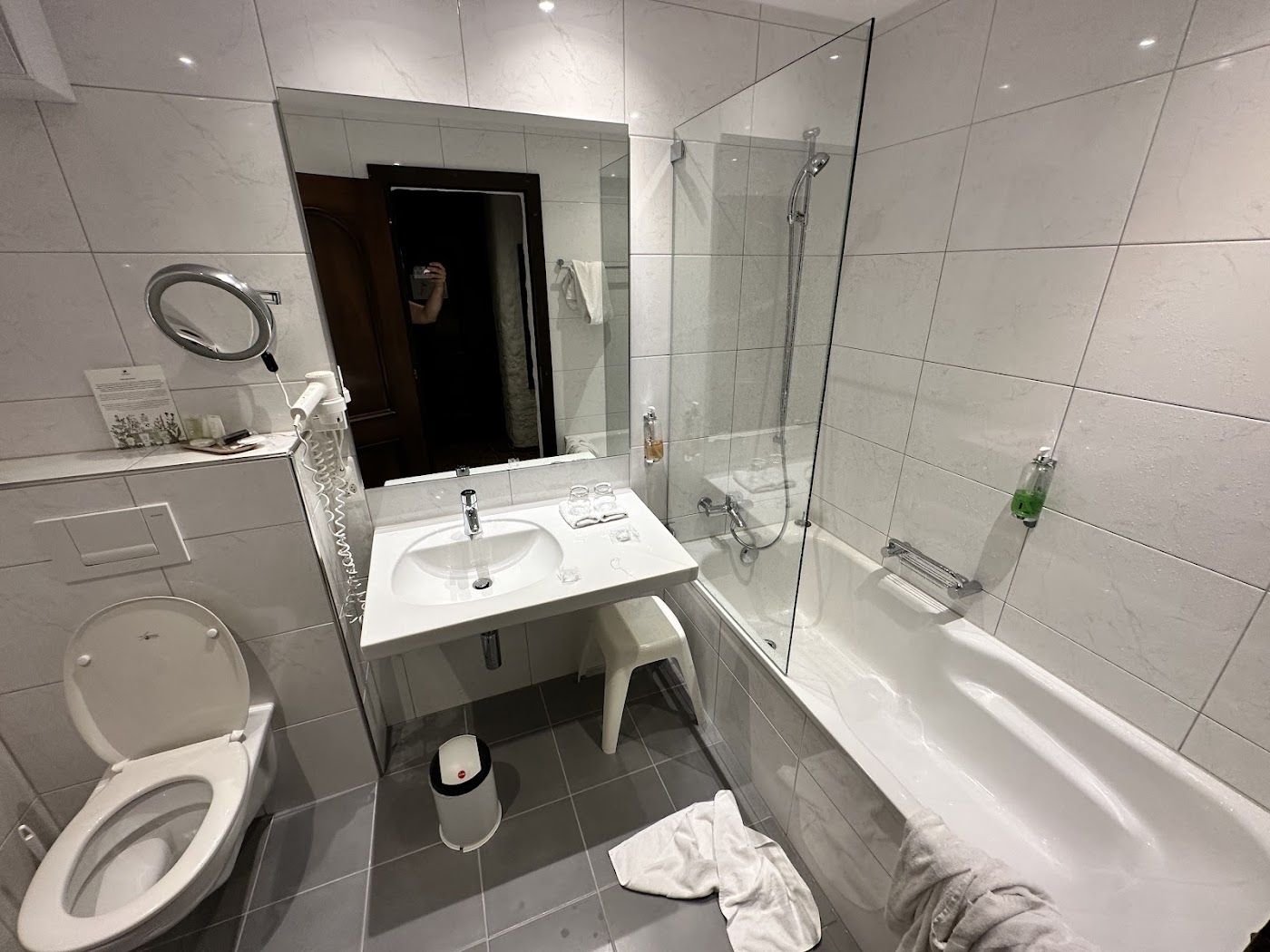 Swiss-Chalet Merlischachen, dog-friendly hotel, photo 4