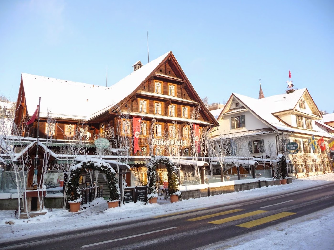 Swiss-Chalet Merlischachen, dog-friendly hotel, photo 5