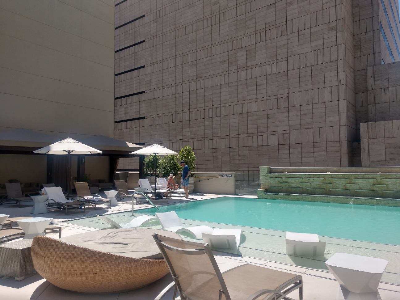 The Adolphus, Autograph Collection, dog-friendly hotel, photo 3