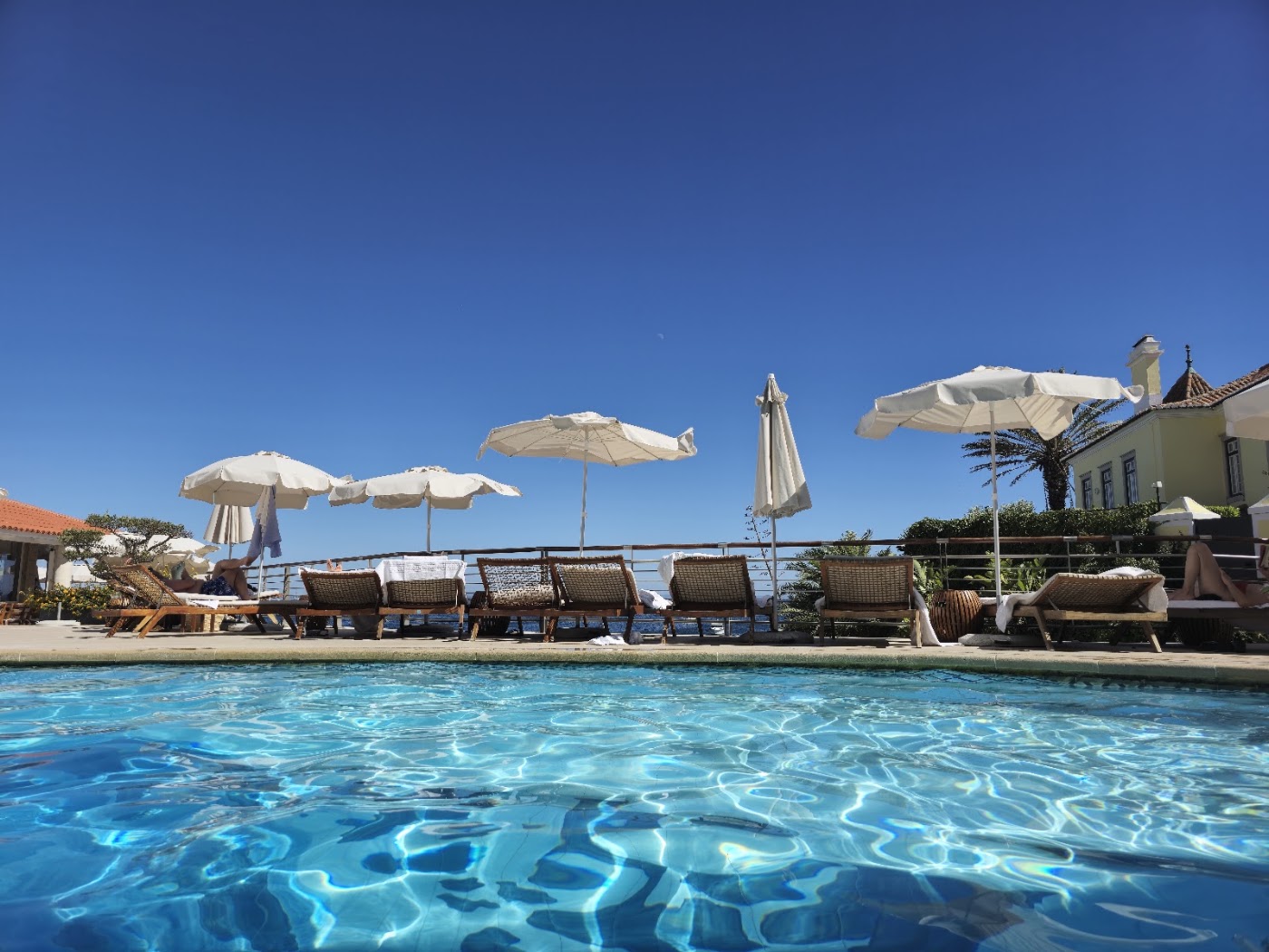 The Albatroz Hotel, dog-friendly hotel, photo 3