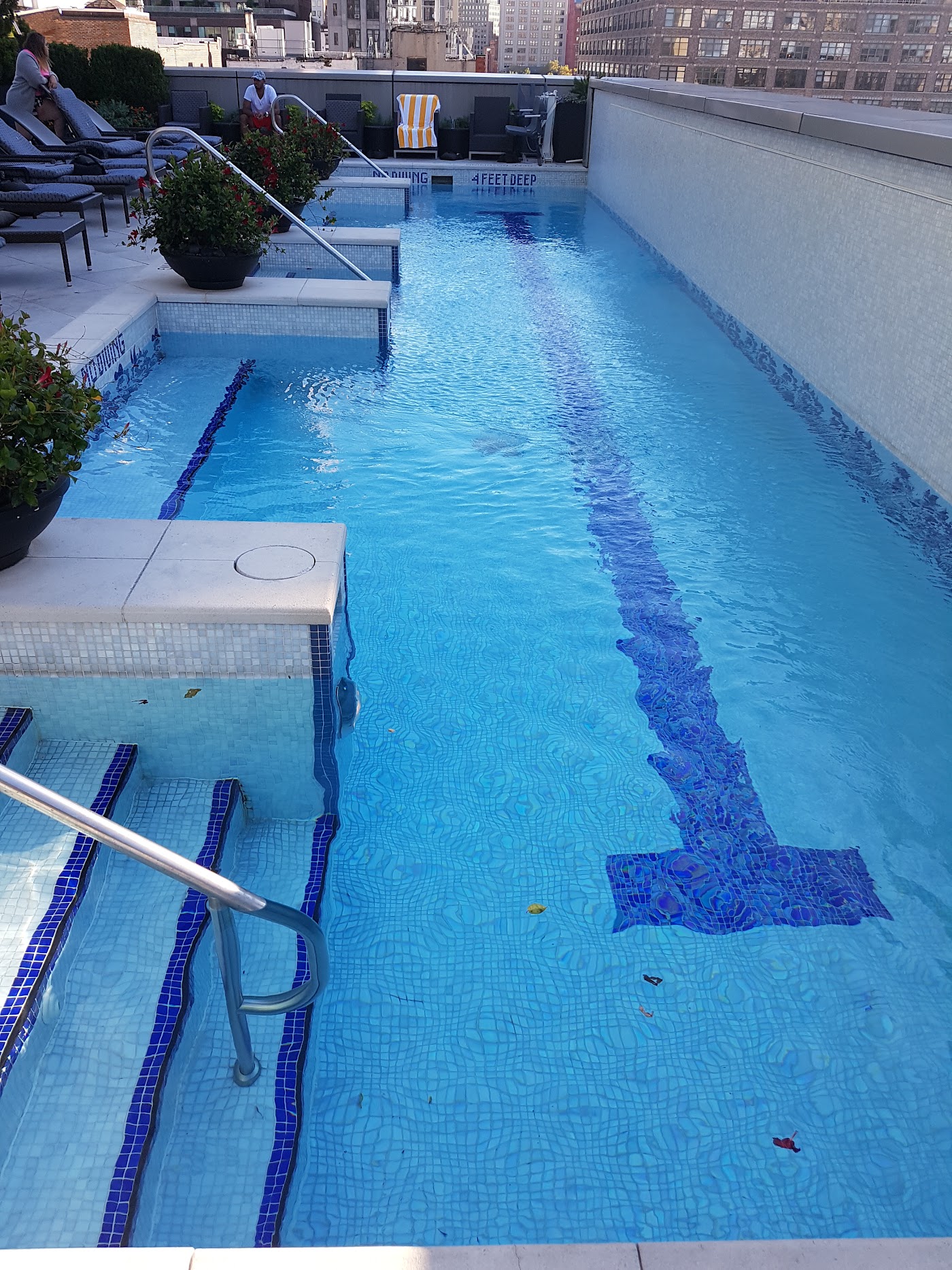The Dominick, dog-friendly hotel, photo 3
