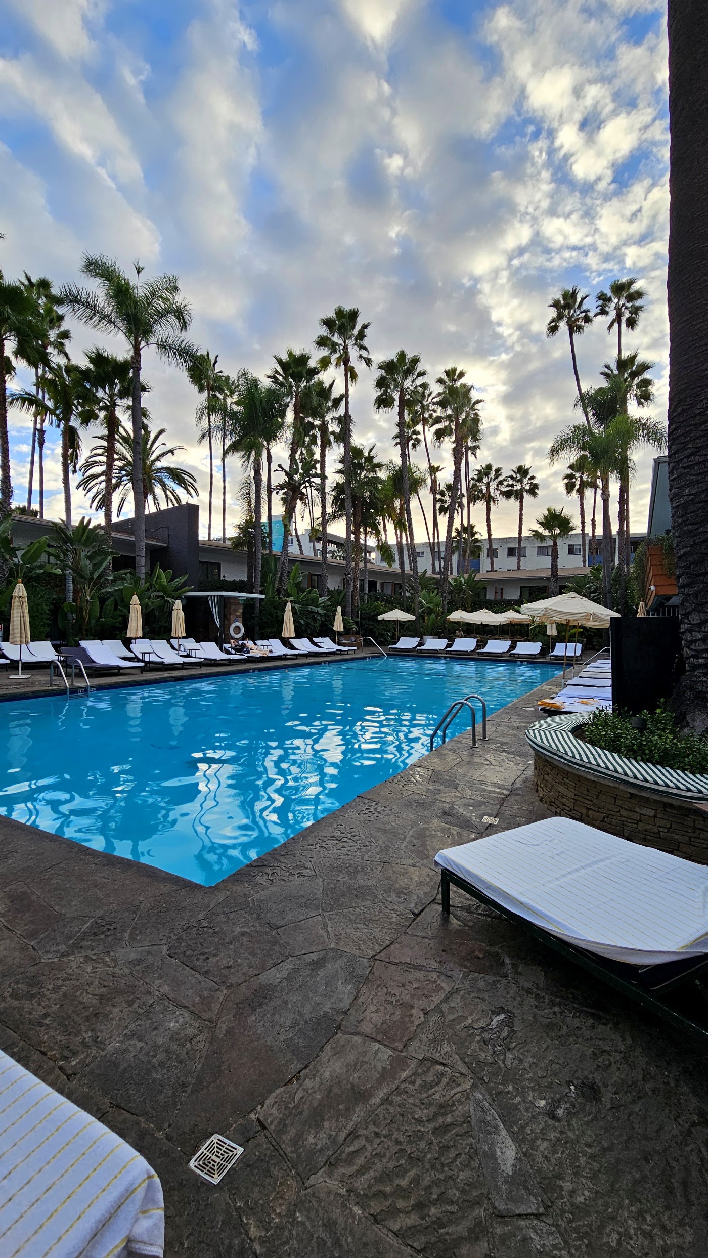 The Hollywood Roosevelt, dog-friendly hotel, photo 3