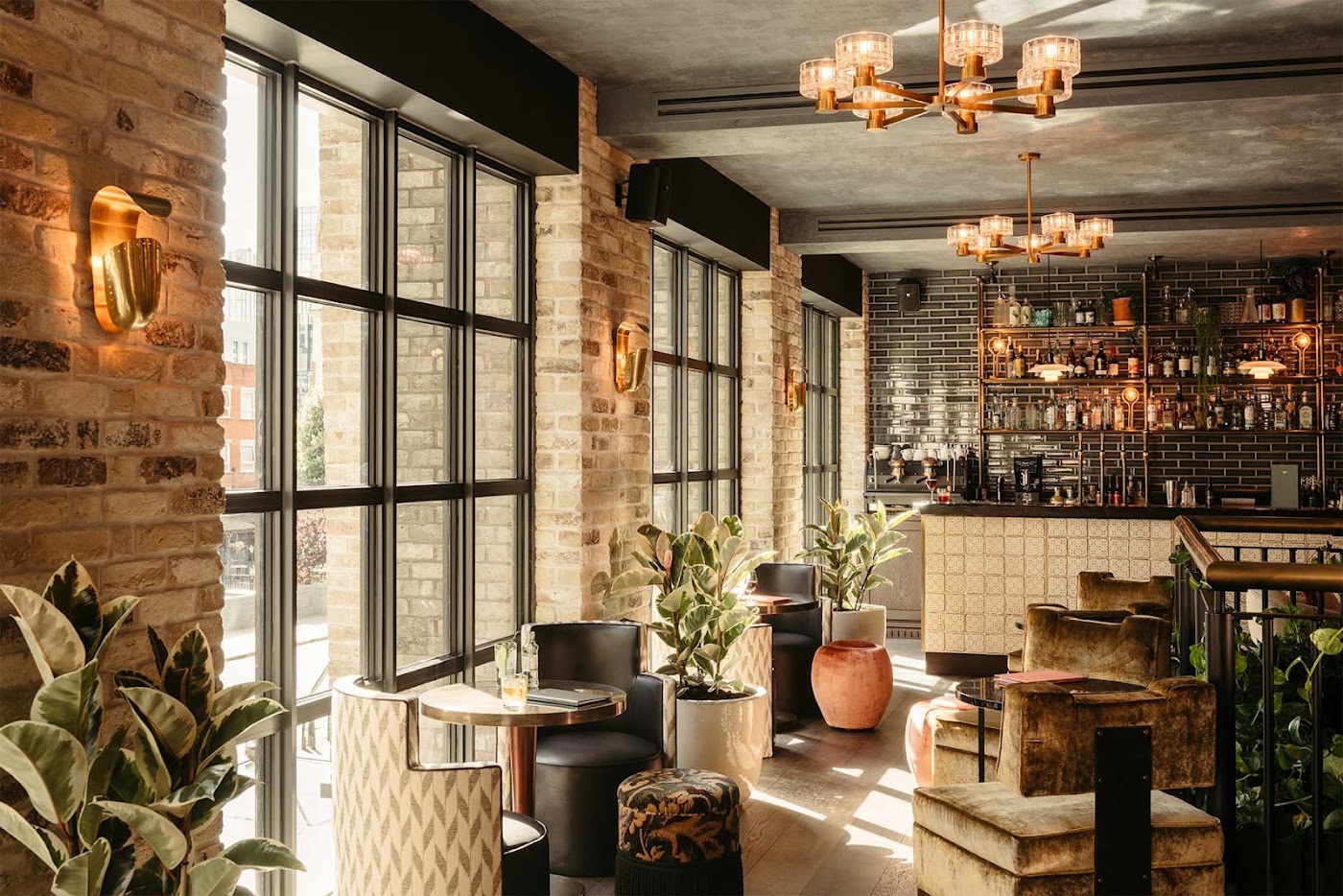 The Hoxton Southwark, dog-friendly hotel, photo 5