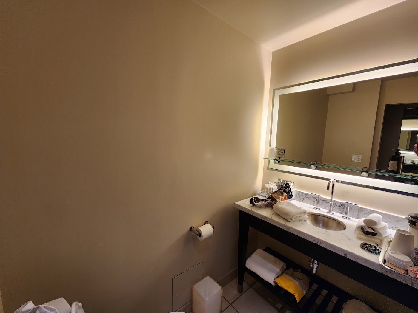 The Midland Hotel Chicago, dog-friendly hotel, photo 3
