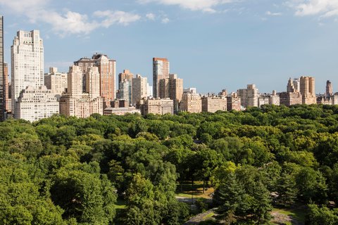 The Ritz-Carlton New York Central Park, dog-friendly hotel, photo 5