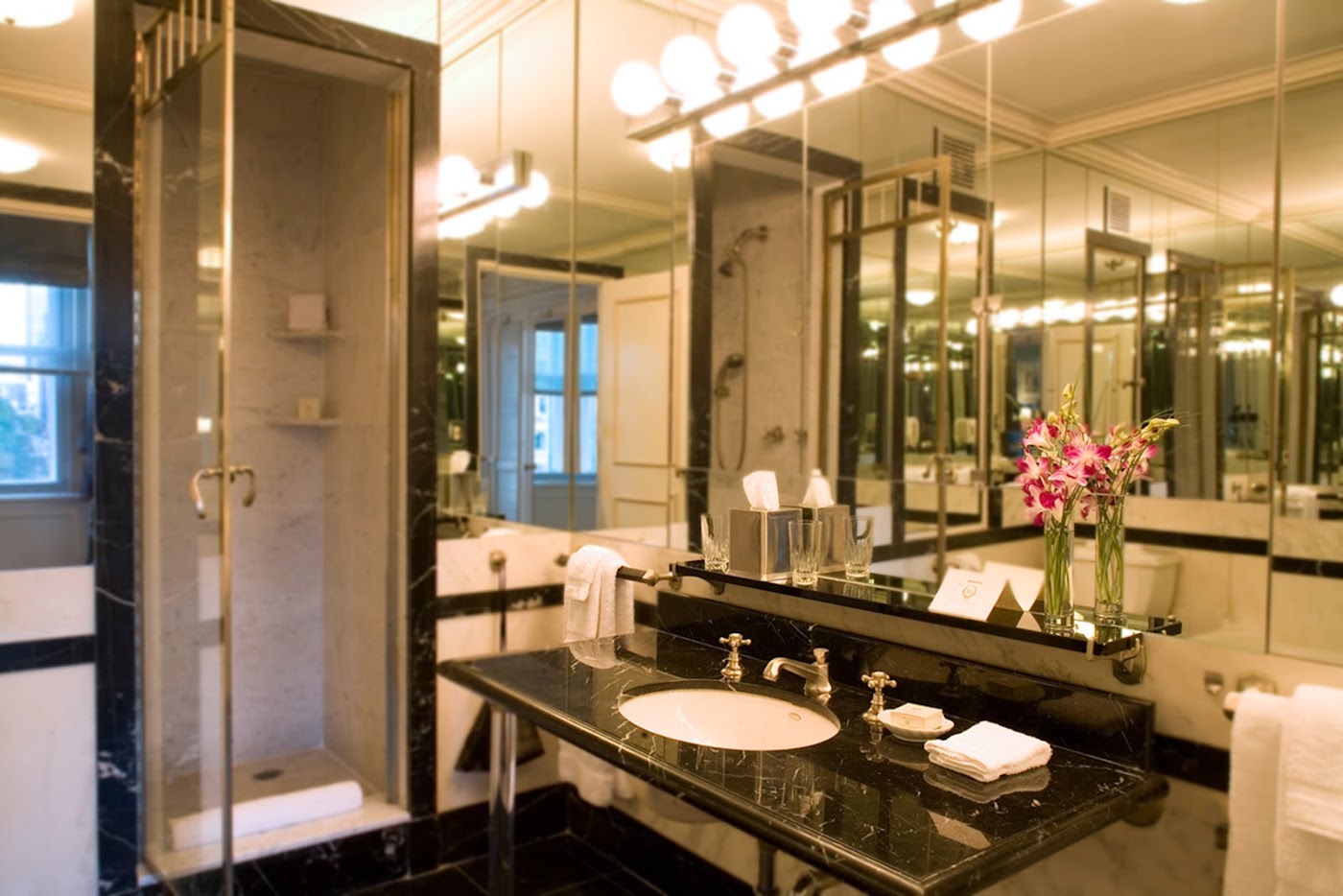 The Sherry-Netherland, dog-friendly hotel, photo 3