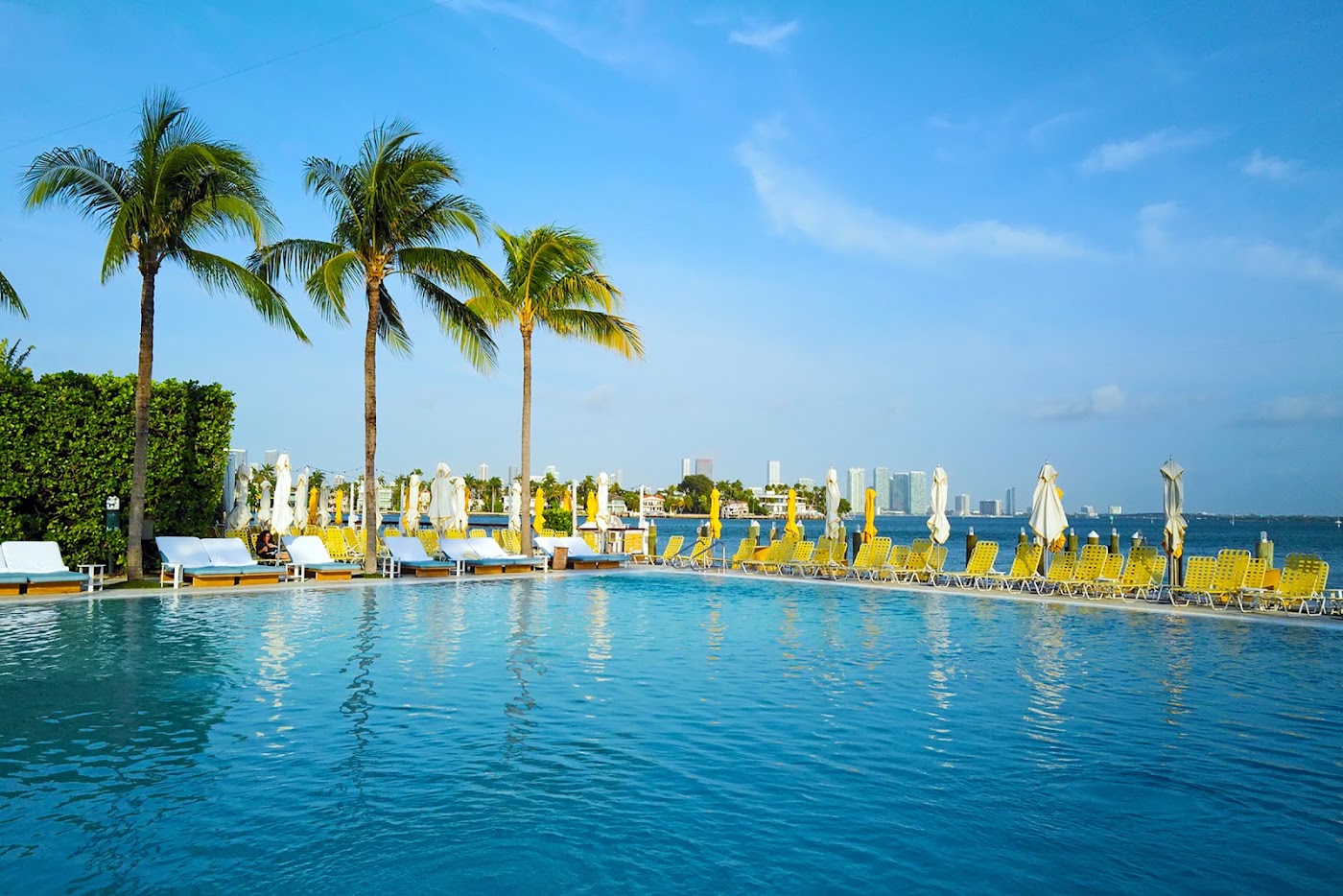 The Standard Spa Miami Beach, dog-friendly hotel, photo 3