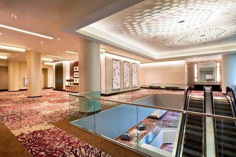 The Westin New York at Times Square, dog-friendly hotel, photo 3