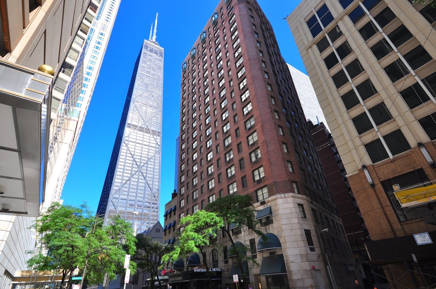 The Whitehall Hotel Chicago, dog-friendly hotel, photo 4