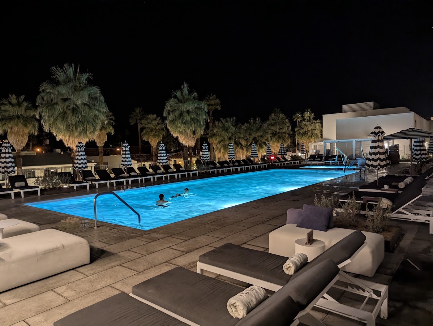 Thompson Palm Springs, by Hyatt, dog-friendly hotel, photo 3