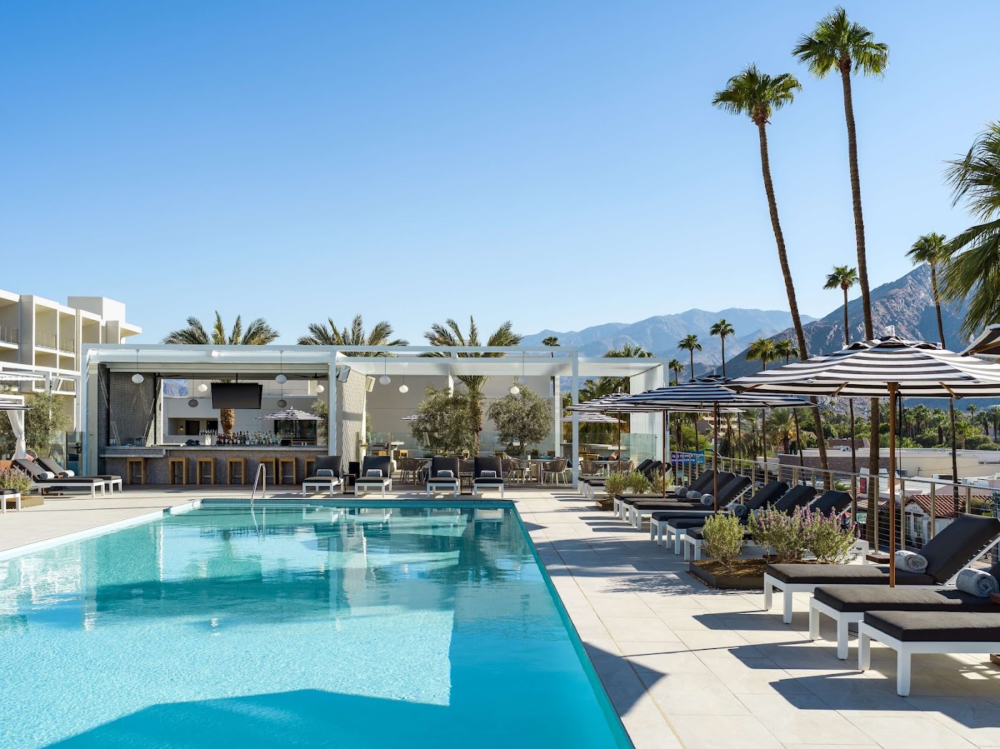 Thompson Palm Springs, by Hyatt, dog-friendly hotel, photo 5
