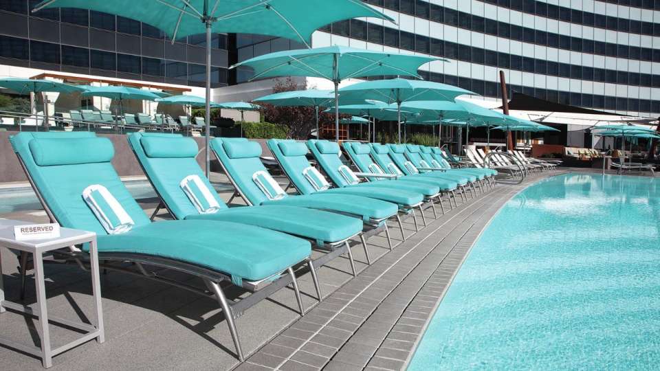Vdara Hotel & Spa at ARIA Las Vegas, dog-friendly hotel, photo 3