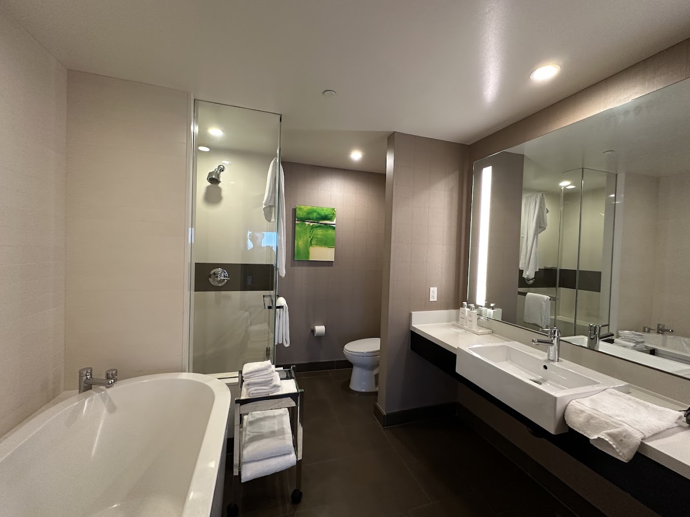 Vdara Hotel & Spa at ARIA Las Vegas, dog-friendly hotel, photo 4